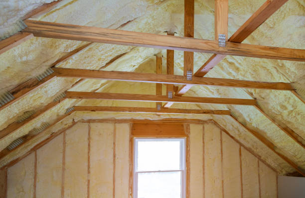 Best Insulation Repair Services  in Fairview Park, IN